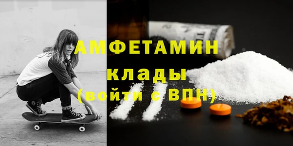 сатива Аркадак