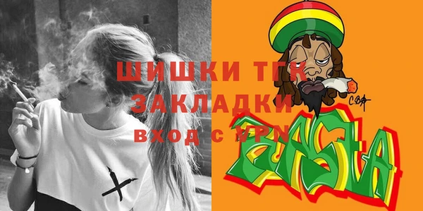 тгк Арсеньев