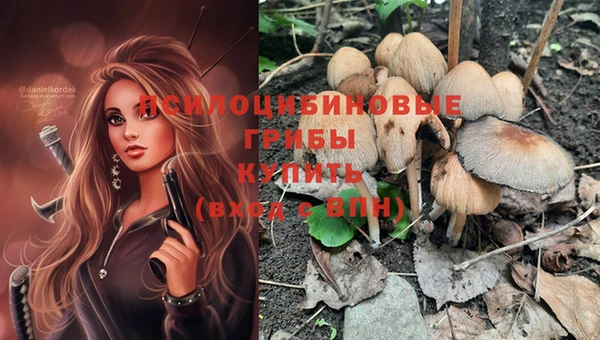 каннабис Алексин