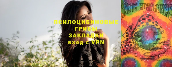 тгк Арсеньев